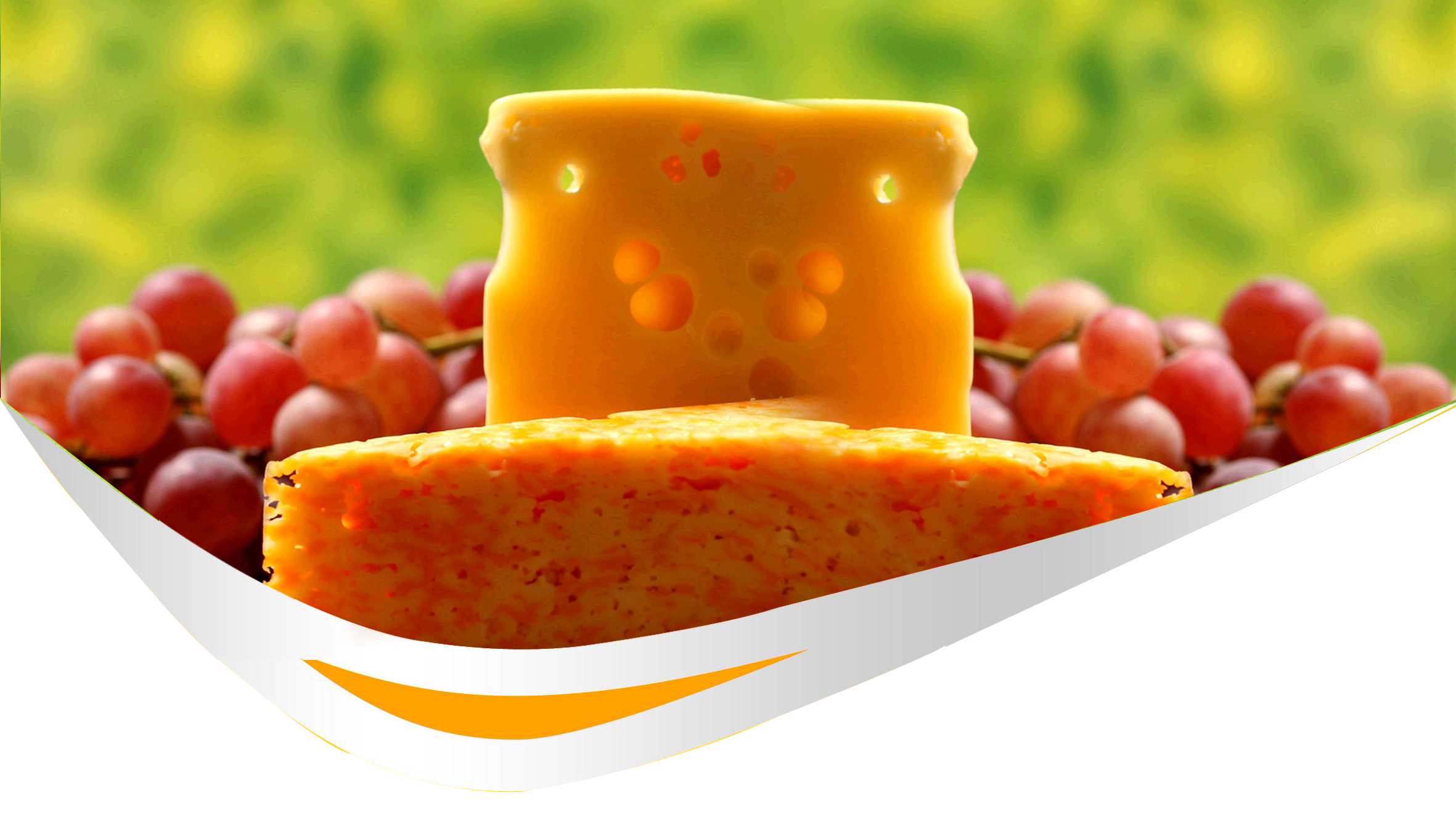 Cheese Bazar